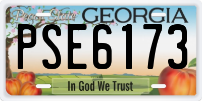 GA license plate PSE6173