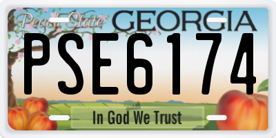 GA license plate PSE6174