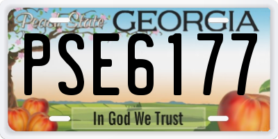 GA license plate PSE6177