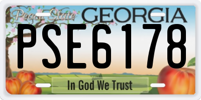 GA license plate PSE6178