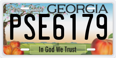 GA license plate PSE6179
