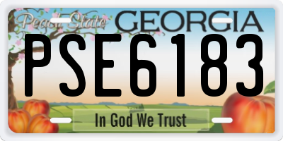 GA license plate PSE6183