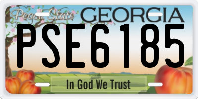 GA license plate PSE6185
