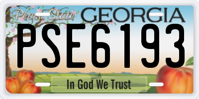 GA license plate PSE6193