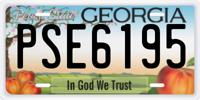 GA license plate PSE6195