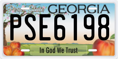 GA license plate PSE6198
