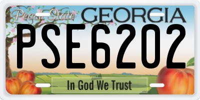 GA license plate PSE6202