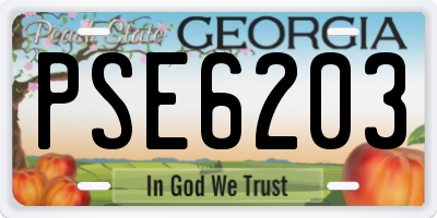 GA license plate PSE6203
