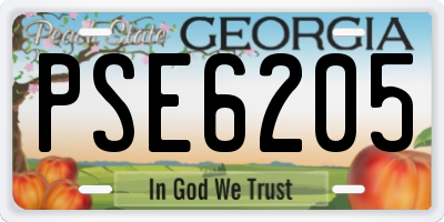 GA license plate PSE6205