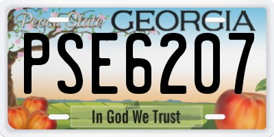 GA license plate PSE6207