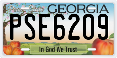 GA license plate PSE6209