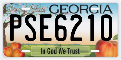 GA license plate PSE6210