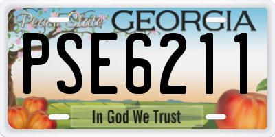 GA license plate PSE6211