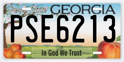 GA license plate PSE6213