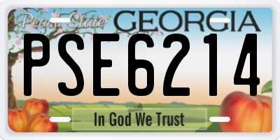 GA license plate PSE6214