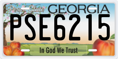 GA license plate PSE6215