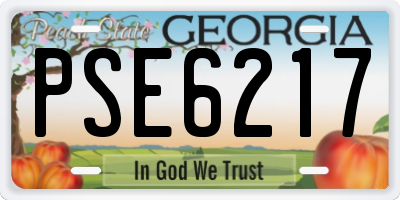 GA license plate PSE6217