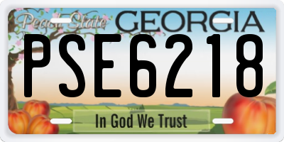 GA license plate PSE6218