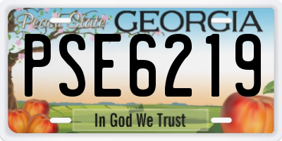 GA license plate PSE6219