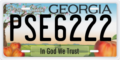 GA license plate PSE6222