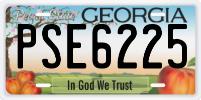 GA license plate PSE6225