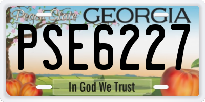 GA license plate PSE6227