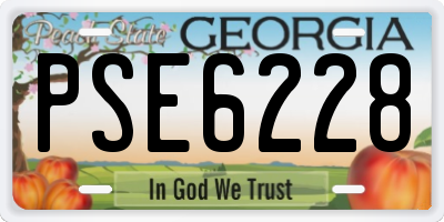GA license plate PSE6228