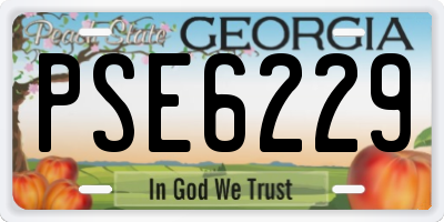 GA license plate PSE6229