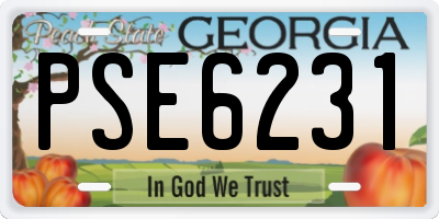 GA license plate PSE6231