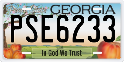 GA license plate PSE6233