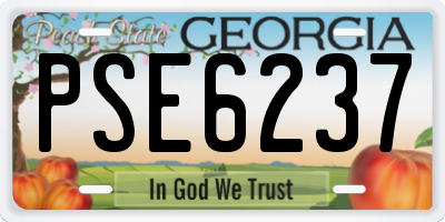 GA license plate PSE6237