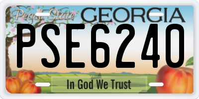GA license plate PSE6240
