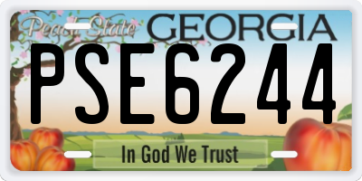 GA license plate PSE6244