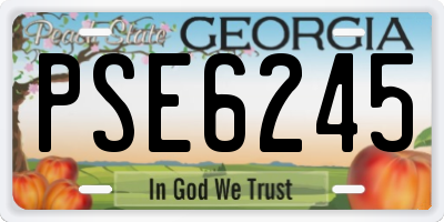 GA license plate PSE6245