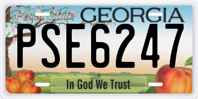 GA license plate PSE6247