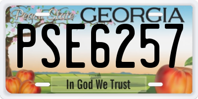 GA license plate PSE6257