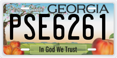 GA license plate PSE6261