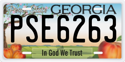 GA license plate PSE6263