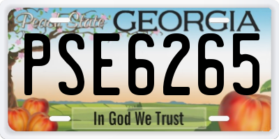 GA license plate PSE6265