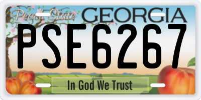GA license plate PSE6267