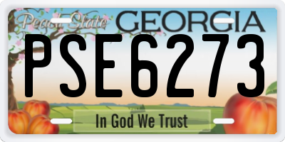 GA license plate PSE6273