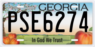 GA license plate PSE6274