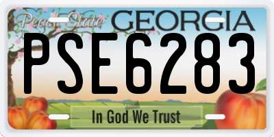 GA license plate PSE6283