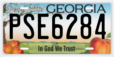 GA license plate PSE6284