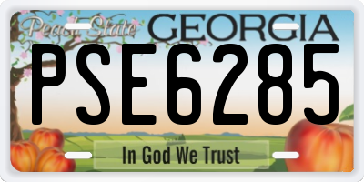 GA license plate PSE6285