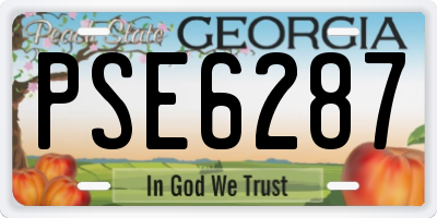 GA license plate PSE6287