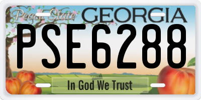 GA license plate PSE6288