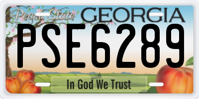 GA license plate PSE6289