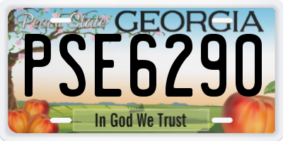 GA license plate PSE6290