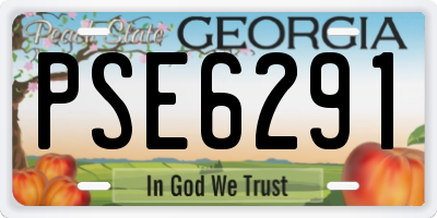 GA license plate PSE6291